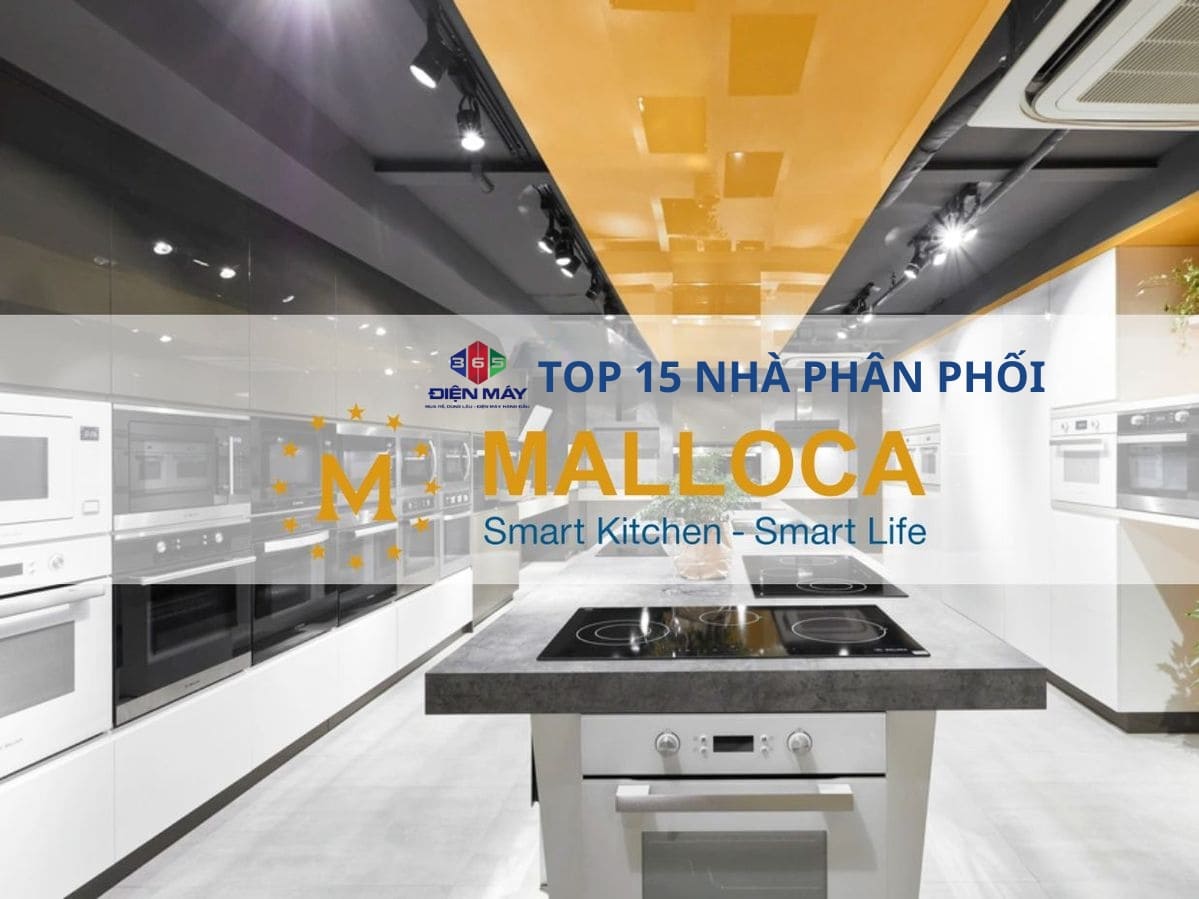 điện máy 365 – top 15 nhà phân phối malloca mạnh nhất năm 2025