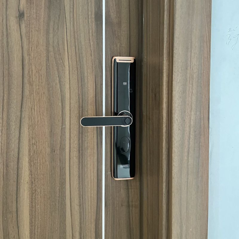 Khóa vân tay thông minh GIOVANI GSL-A3BR 4 Khóa vân tay thông minh GIOVANI GSL-A3BR - Ảnh 2