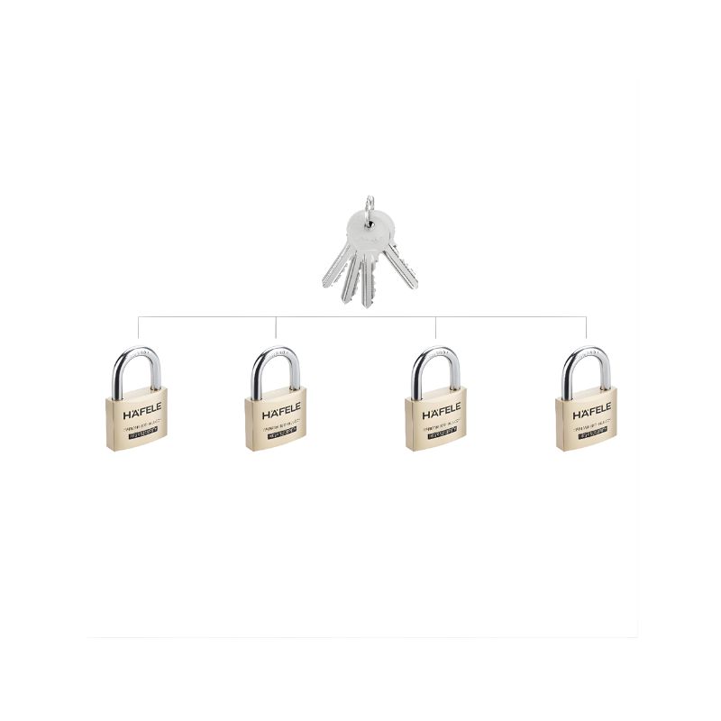 Ổ khoá Hafele 482.01.971 PL550 52mm 4 Ổ khoá Hafele 482.01.971 PL550 52mm - Ảnh 3