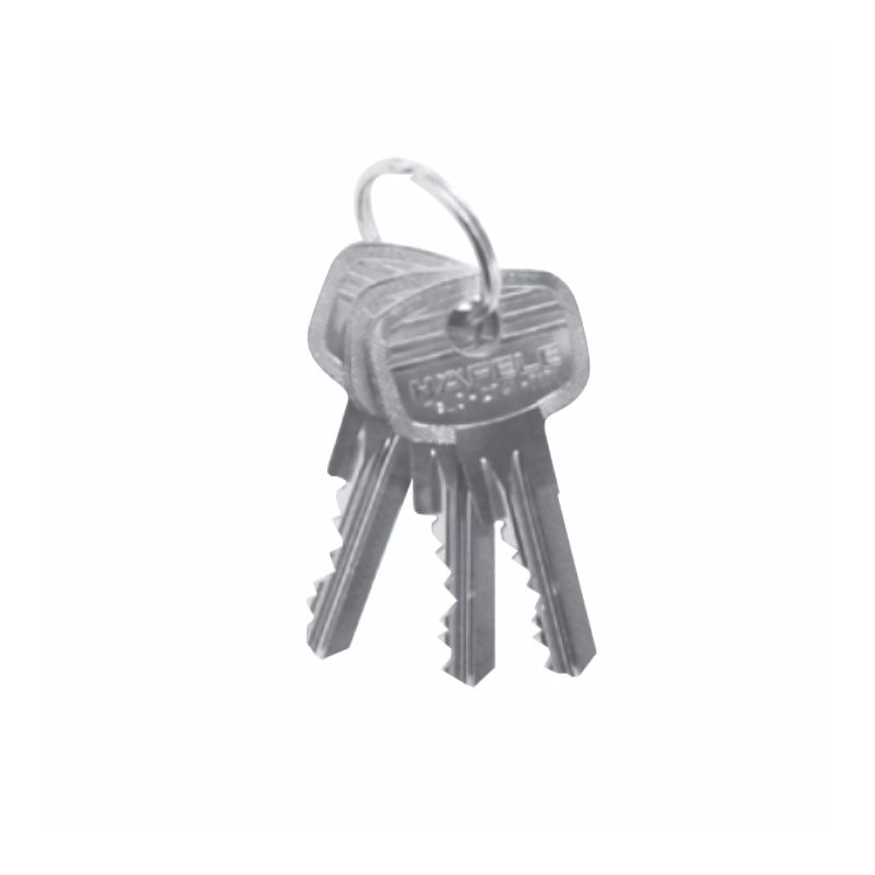 Chìa khóa Hafele 916.66.552 individual key EM 6 pin 3 Chìa khóa Hafele 916.66.552 individual key EM 6 pin