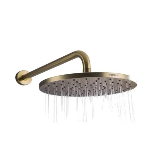 Sen đầu gắn tường Retro Hafele 589.15.390